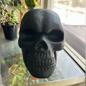 Matte Black Skull Decor